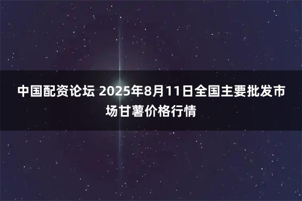 中国配资论坛 2025年8月11日全国主要批发市场甘薯价格行情