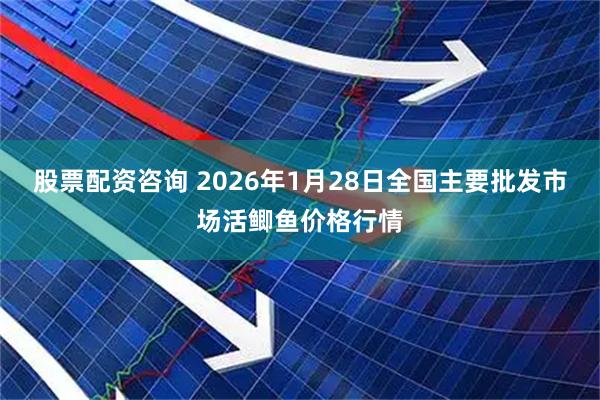 股票配资咨询 2026年1月28日全国主要批发市场活鲫鱼价格行情