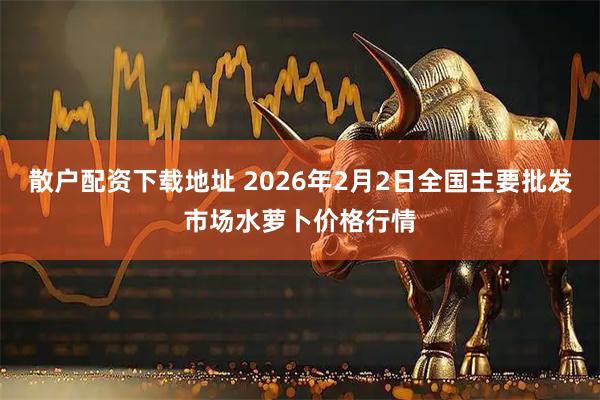散户配资下载地址 2026年2月2日全国主要批发市场水萝卜价格行情
